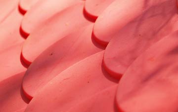 Lostock Hall plastic roof costs