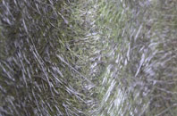 Lostock Hall fibreglass roof work